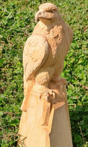 adler_neu_1
