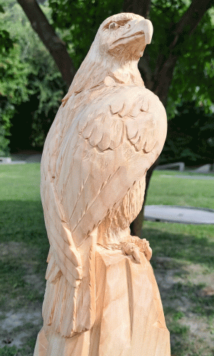 adler_neu_2