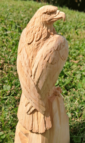adler_neu_3