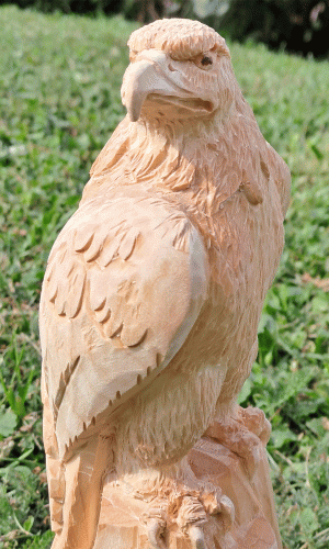 adler_neu_4